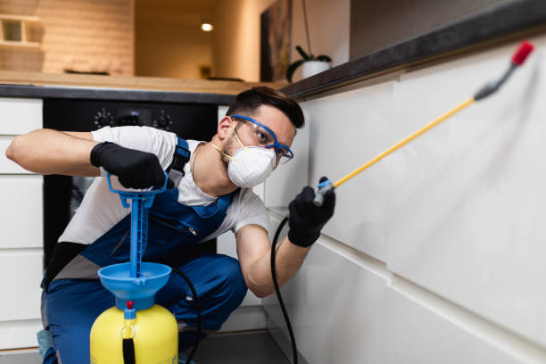 Best Mosquito Control Services  in Brass Castle, NJ