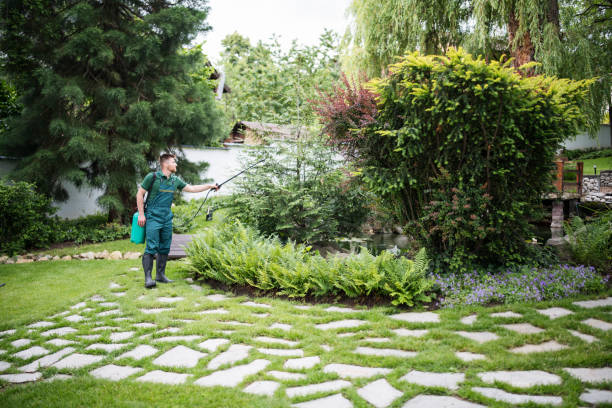 Best Affordable Pest Control Services  in Brass Castle, NJ