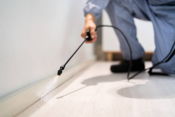 Best Pest Prevention Services  in Brass Castle, NJ