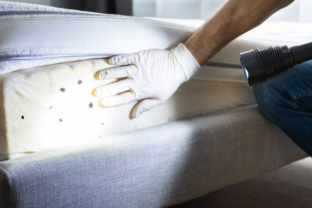 Professional Pest Control in Brass Castle, NJ